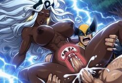 ororo_munroe, storm_(marvel_tokon), storm_(x-men), wolverine_(x-men), marvel