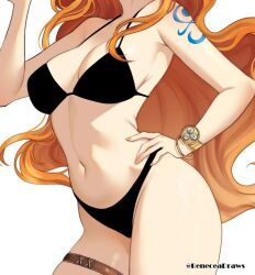 nami_(one_piece), one_piece, shueisha, toei_animation, weekly_shonen_jump