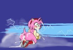 amy_rose, sonic_the_hedgehog, sega, sonic_(series), sonic_the_hedgehog_(series)