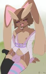 generation_4_pokemon, lopunny, pokemon_(species), nintendo, pokemon