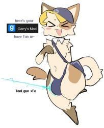 steam_sale_cat, garry's_mod, steam_(software), valve, valve_(company)