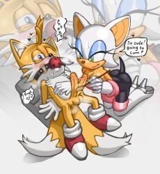 miles_prower, rouge_the_bat, sega, sonic_the_hedgehog_(series), boobtardd