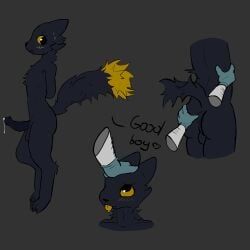 expie_(gunsawian), casualties:_unknown, 3_toes, anthro, anus