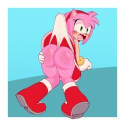 amy_rose, sega, sonic_(series), 1girl, 1girls