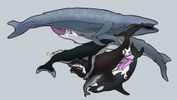 wyrmling_(artist), anal, anal_sex, animal_genitalia, animal_penis