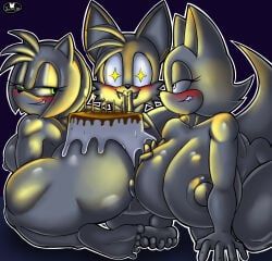 amy_rose, miles_prower, mobian_(species), rouge_the_bat, tails_the_fox
