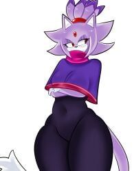 blaze_the_cat, blaze_the_cat_(om), outcome_memories, sonic.exe_(series), sonic_(series)