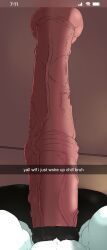 hd_waffle, 1boy, animal_genitalia, animal_penis, anthro