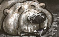 dakota-bear, bear, cum, cum_on_face, exhausted