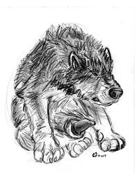 dakota-bear, canine, erection, feral, male