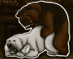 grizzly_(shirokuma_cafe), shirokuma, shirokuma_cafe, dakota-bear, anal