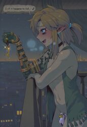 link, link_(breath_of_the_wild), link_(tears_of_the_kingdom), nintendo, the_legend_of_zelda