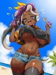 marina_(splatoon), splatoon, splatoon_(series), t2ukmyjm, big_breasts