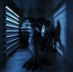 drone_xenomorph, female_xenomorph, xenomorph, alien_(franchise), alien_vs_predator