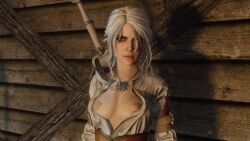 ciri, cd_projekt_red, skyrim, the_witcher_(series), the_witcher_3:_wild_hunt