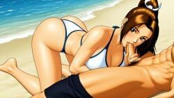 kim_kaphwan, mai_shiranui, fatal_fury, king_of_fighters, kof