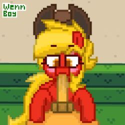 unknown_character, my_little_pony, pony_town, wennboy, artist_name