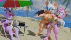 amy_rose, blaze_the_cat, rouge_the_bat, sega, sonic_(series)