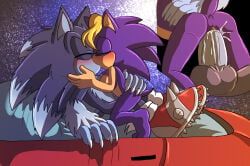 bernadette_hedgehog, sonic_the_hedgehog, sonic_the_werehog, archie_comics, sega