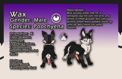 generation_3_pokemon, pokemon_(species), poochyena, nintendo, pokemon