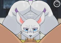 digimon_(species), gatomon, bandai_namco, digimon, day74art