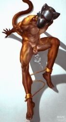 mikaemikae, anthro, anthro_doll_hood, balls, bdsm