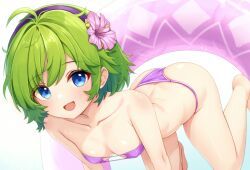 nino_(fire_emblem), fire_emblem, fire_emblem:_the_blazing_blade, bare_shoulders, blue_eyes