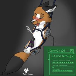 talynwolf, accessory, animal_genitalia, animal_penis, anthro