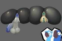 blu_(rio), eva_(rio), jewel_(rio), rafael_(rio), blue_sky_studios