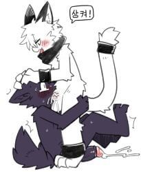 nifram_logan, pizademokttero, accessory, ankle_band, anthro