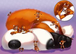 arinadler, 3_toes, 5_fingers, ailurid, anthro