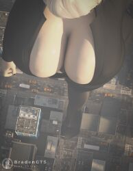 yorha_2b, nier, nier:_automata, bradengts, 1girls