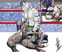 hikaridraws, hikaristar_art, abs, anthro, arena