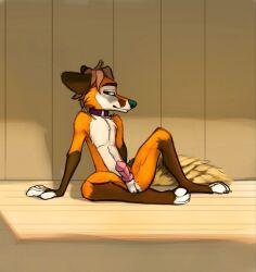 allegro_(allegrofox), allegrofox, animal_genitalia, animal_penis, anthro