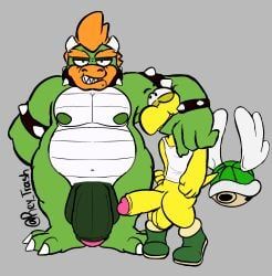 bowser, koopa, koopa_troopa, mario_(series), nintendo
