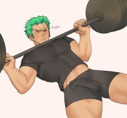 roronoa_zoro, one_piece, unknown_artist, 1boy, abs