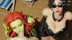 catwoman, catwoman_(fortnite), poison_ivy, poison_ivy_(fortnite), batman_(series)