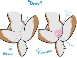 apple_(dckiq), dckiq, animal_genitalia, animal_humanoid, anthro