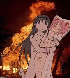 akemi_homura, kaname_madoka, mahou_shoujo_madoka_magica, mahou_shoujo_madoka_magica_(anime), jetstream_e
