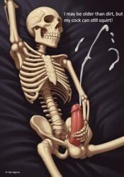 balls, ballsack, boner, bones, cock