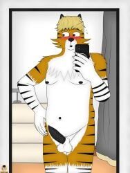 animal_genitalia, animal_penis, anthro, balls, belly