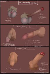 gthusky, ambiguous_form, anatomical_study, anatomically_correct, anatomically_correct_genitalia