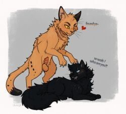 antpelt_(warriors), oc, original_character, warrior_cats, warriors_(book_series)
