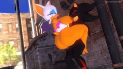 rouge_the_bat, rouge_the_bat_(kabalmystic), shadow_the_hedgehog, shadow_the_hedgehog_(kabalmystic), sega