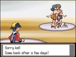 brock_(pokemon), erika_(pokemon), ethan_(pokemon), kasumi_(pokemon), misty_(pokemon_hgss)