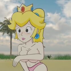 princess_peach, mario_(series), nintendo, nintendo_64, super_mario_64