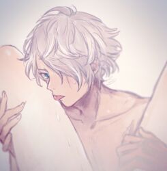 ophilia_clement, therion_(octopath_traveler), octopath_traveler, chizu, flute_(artist)