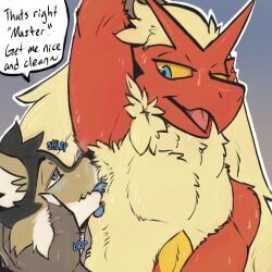 blaziken, generation_3_pokemon, pokemon_(species), nintendo, pokemon