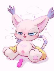 digimon_(species), gatomon, bandai_namco, digimon, badwingm