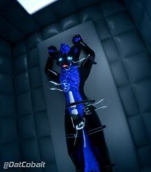 datcobalt, ahkando, anthro, armwear, ball_fondling